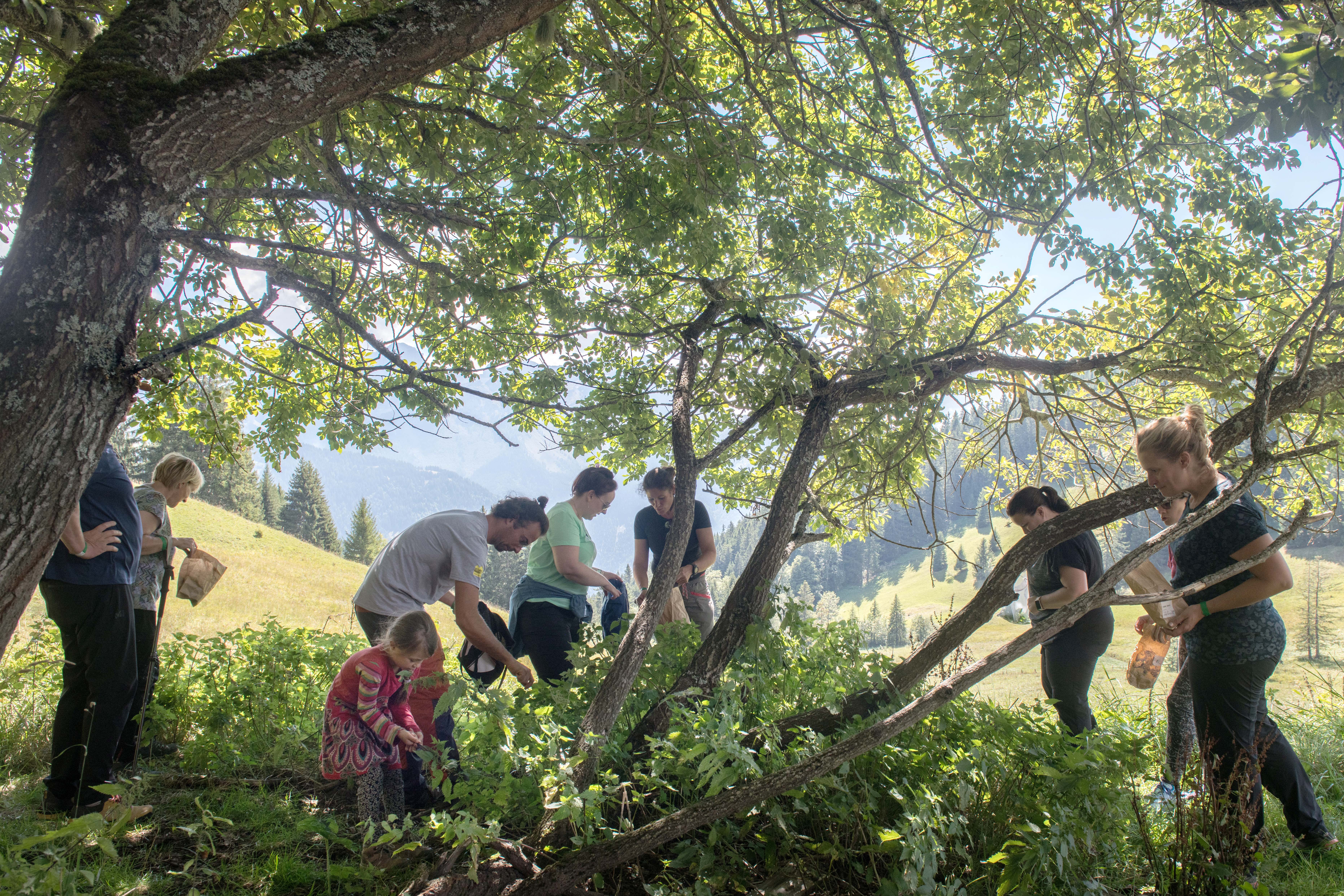 Le Villars Rando Festival revient pour une 17e édition